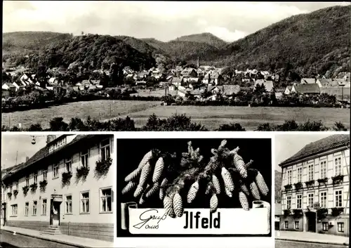 Ak Ilfeld am Harz Thüringen, Gaststätte zur Krone, Gaststätte zur Linde, Panorama