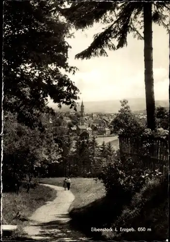 Ak Eibenstock im Erzgebirge Sachsen, Feldweg mit Blick zum Ort