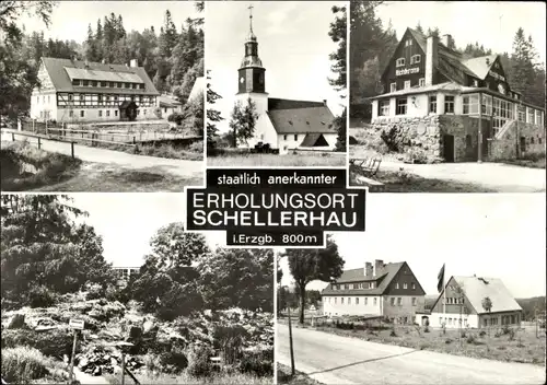 Ak Schellerhau Altenberg im Erzgebirge, Gasthaus Richtkrone, Kirche, Fachwerkhaus, Alpinum