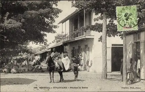 Ak Tivaouane Senegal, beim Melken