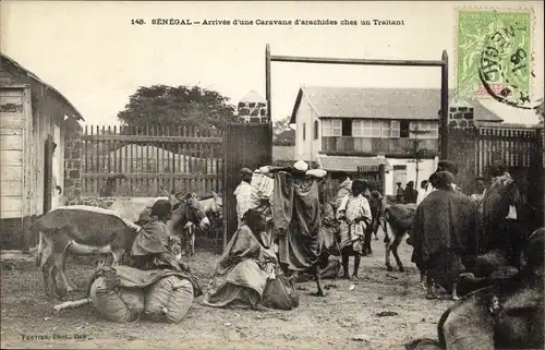 AK Senegal, Ankunft einer Erdnusskarawane bei einem Händler