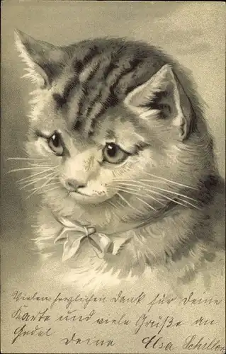 Litho Tierportrait, kleine Hauskatze