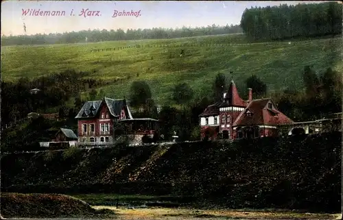 Ak Wildemann Clausthal Zellerfeld im Oberharz, Bahnhof