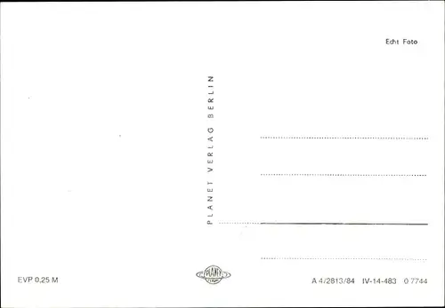 Ak Zwei junge getigerte Katzen