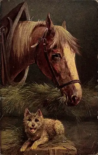 Ak Pferd mit Zuggeschirr im Stall, Hund