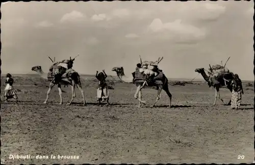 Ak Dschibuti, Kamele, Karawane