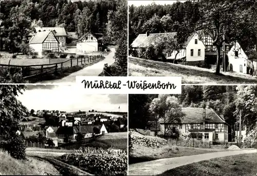 Ak Eisenberg in Thüringen, Mühltal, Naupoldsmühle, Waldgaststätte Walkmühle, Froschmühle, Weißenborn