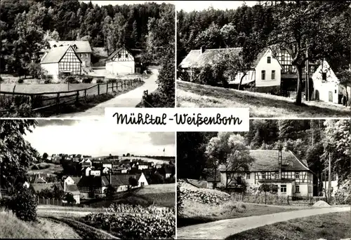Ak Eisenberg in Thüringen, Mühltal, Naupoldsmühle, Waldgaststätte Walkmühle, Froschmühle, Weißenborn