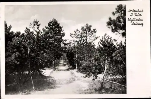 Ak Nordseebad Sankt Peter Ording, Idyllischer Waldweg