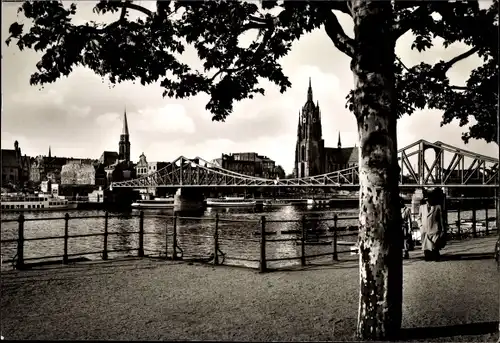 Ak Frankfurt am Main, Eiserner Steg, Dom, Main
