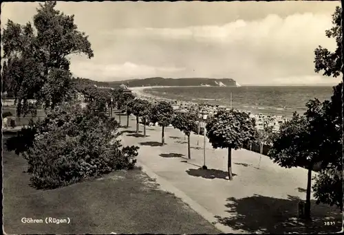 Ak Ostseebad Göhren auf Rügen, Strandpromenade