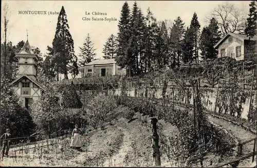 Ak Montgueux Aube, Das Schloss, Clos Sainte Sophie