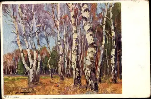 Künstler Ak Herrmann, W., Birken, Birkenwald, Waldpartie