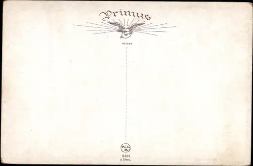 Künstler Ak Herrmann, W., Birken, Birkenwald, Waldpartie