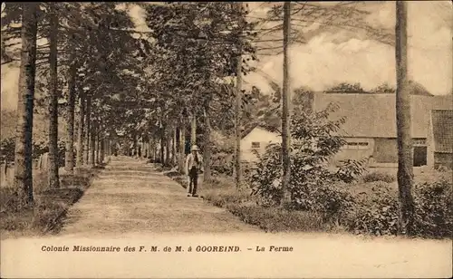 Ak Gooreind Wuustwezel Flandern Antwerpen, Colonie Missionnaire des F. M. de M., La Ferme, Allee
