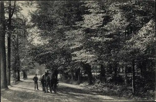 Ak Tervuren Tervueren Flämisch Brabant Flandern, Attelage sortant d'un sous bois