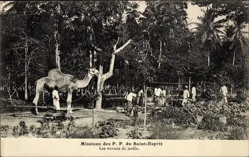 Ak Missionen der Väter des Heiligen Geistes, Das Werk des Gartens