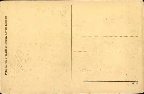 Ak Kinshasa DR Kongo Zaire, Übersicht