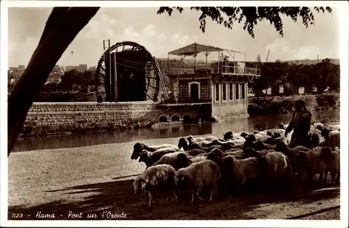 Ak Hama Syrien, Oronte-Brücke, Wasserrad, Schäfer mit Schafherde