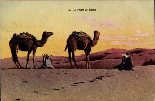 Ak Muslime beten in der Wüste, Kamele