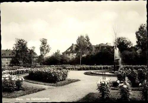 Ak Gera in Thüringen, Im Dahliengarten, Springbrunnen