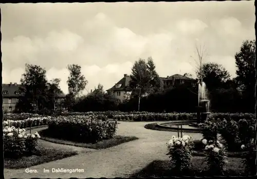 Ak Gera in Thüringen, Im Dahliengarten, Springbrunnen