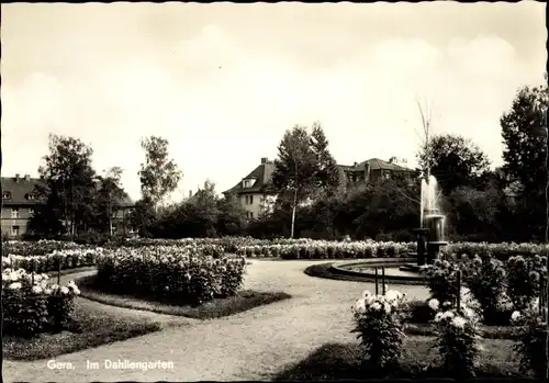 Ak Gera in Thüringen, Im Dahliengarten, Springbrunnen