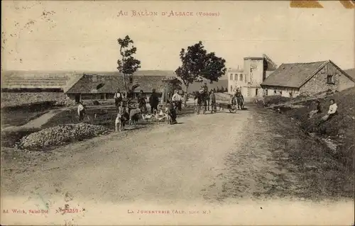 Ak Ballon d&#39;Alsace Vosges, Jumentery