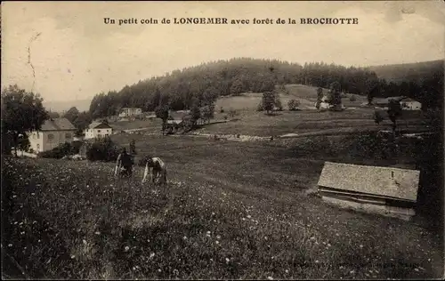 Ak Longemer Lorraine Vosges, Panorama