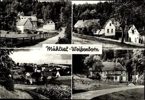 Ak Eisenberg in Thüringen, Mühltal, Naupoldsmühle, Waldgaststätte Walkmühle, Weißenborn, Froschmühle