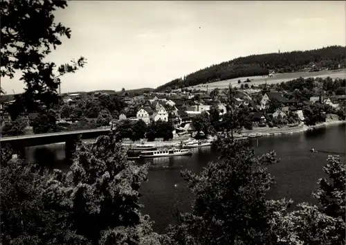 Ak Saalburg in Thüringen, Blick auf den Ort, Brücke, Schiffsanleger