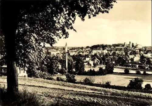 Ak Schleiz im Vogtland Thüringen, Ortsansicht mit Kirche