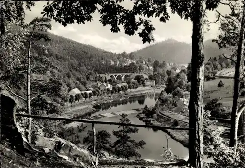 Ak Ziegenrück an der Saale Thüringen, Blick von der Brauershöhe