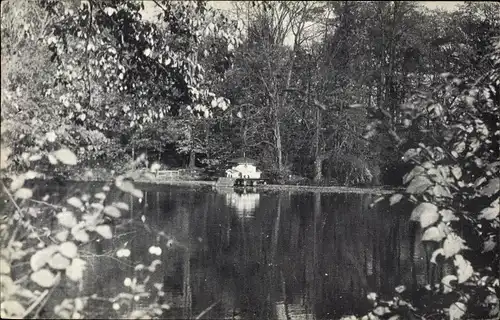 Ak Glückstadt an der Elbe, Anlageteich mit Schwanenhaus