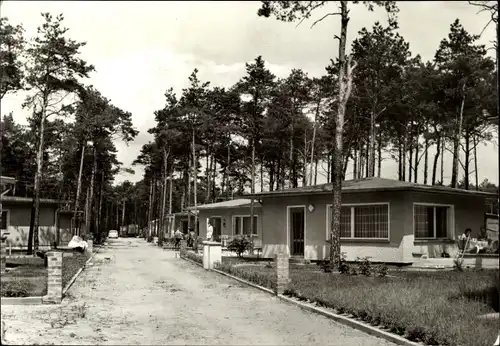 Ak Hohenbrück Neu Schadow Märkische Heide, Bungalows