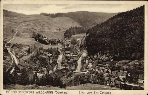 Ak Wildemann Clausthal Zellerfeld im Oberharz, Blick vom Zick-Zackweg