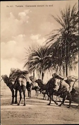 Ak Tunesien, Karawane kommt aus dem Süden