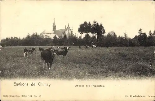 Ak Chimay Wallonien Hennegau, Kühe auf der Weide, Kirche