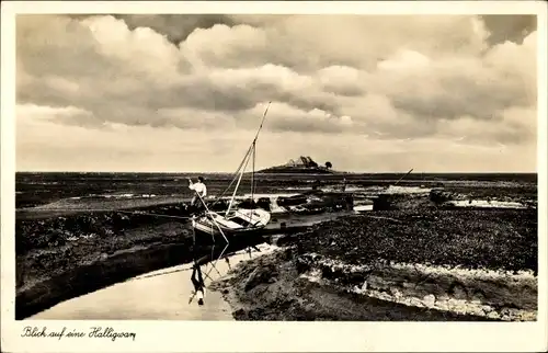 Ak Hallig, Halligwarf