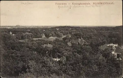 Ak Bloemendaal Nordholland Niederlande, Panorama, Koninginneduin