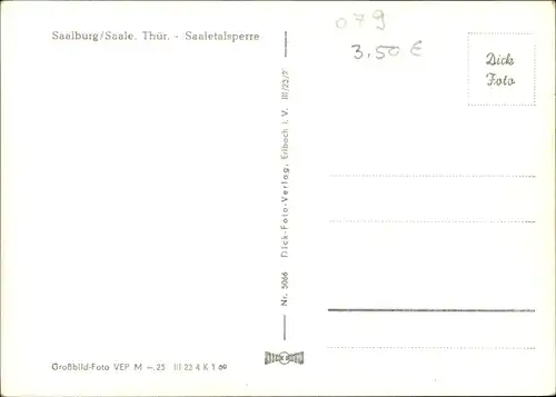 Ak Saalburg in Thüringen, Saaletalsperre, Ausflugsschiff am Anleger