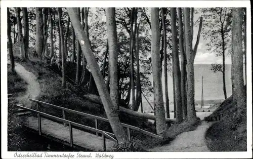 Ak Ostseebad Timmendorfer Strand, Waldweg