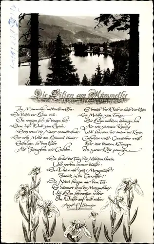 Ak Mummelsee Seebach im Schwarzwald Baden, Die Lilien am Mümmelsee, Gedicht