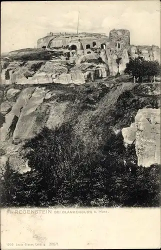 Ak Blankenburg am Harz, Burg Regenstein