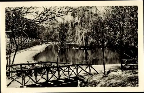 Ak Zeitz im Burgenlandkreis, Schwanenteich, Brücke