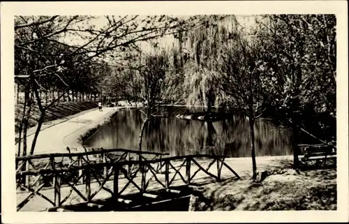 Ak Zeitz im Burgenlandkreis, Schwanenteich, Brücke