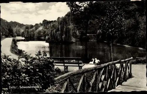 Ak Zeitz im Burgenlandkreis, Schwanenteich, Brücke