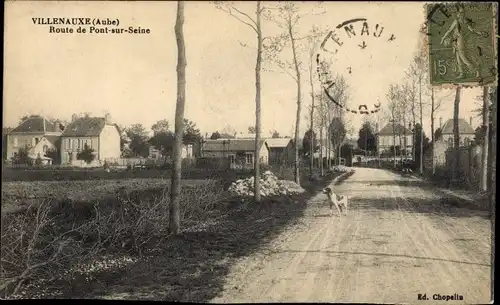 Ak Villenauxe la Grande Aube, Route de Pont sur Seine