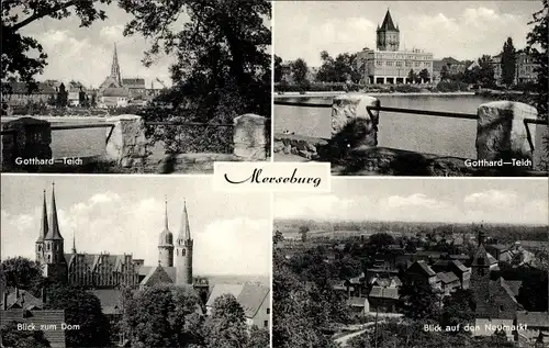 Ak Merseburg an der Saale, Gotthard Teich, Dom, Neumarkt