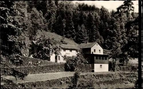 Ak Kleinhennersdorf Gohrisch Sachsen, Haus Lietheneck